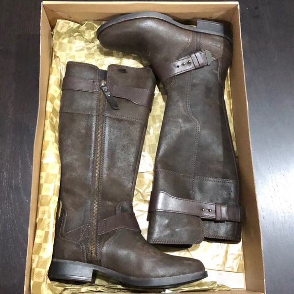 UGG Dayle Tall Boots - Picture 1 of 10
